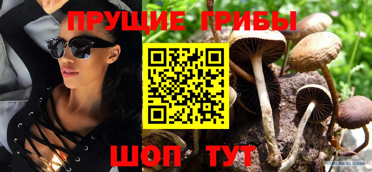 Галлюциногенные грибы Magic Shrooms  Вход с VPN  цена наркотик  Лосино-Петровский 