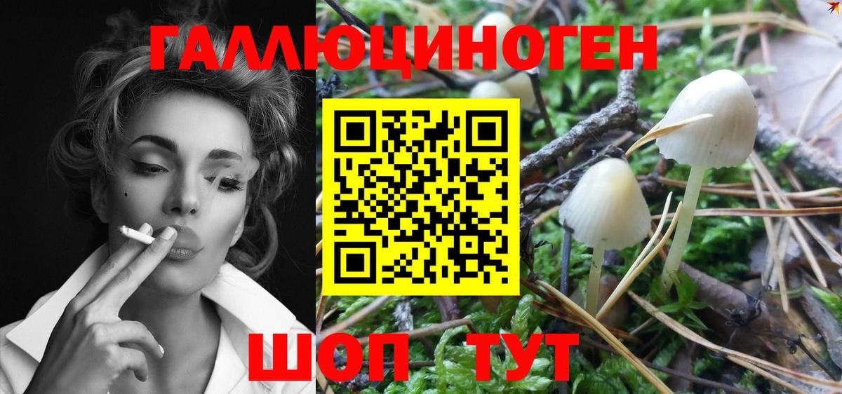 Лосино-Петровский  КОКАИН  Каннабис  МЕФ   MDMA  Метамфетамин  Мефедрон  Вход с VPN  ГАШ  ГАШ 